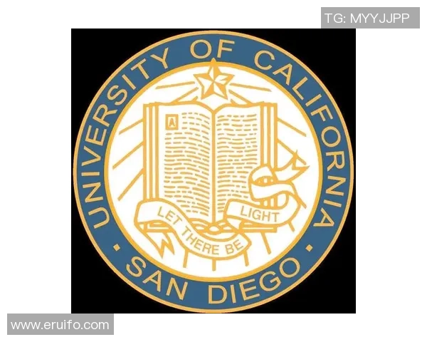 探索索博斯洛伊的历史与文化遗产之旅，揭开神秘面纱的多元魅力