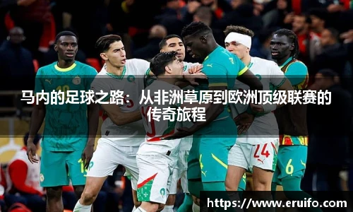 DB旗舰手机下载
